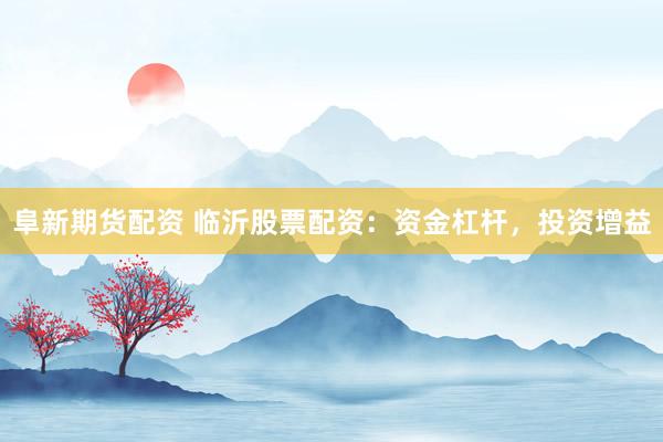 阜新期货配资 临沂股票配资：资金杠杆，投资增益